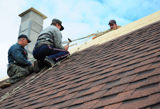 Best Local Roofing Companies  in Tellico Village, TN